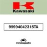 KIT LISERÉS VALISES KAWASAKI - 99994042315TA