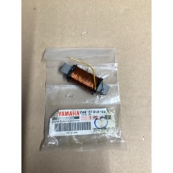 YAMAHA COIL 2M48131220